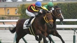 【中京5R新馬戦結果】モーリス産駒アルトゥームが人気2頭の競り合いを制す