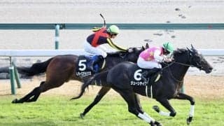 【こうやまき賞】ジューンテイクが抜け出す…断然人気レガーロデルシエロは2着