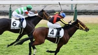 【新馬/中京5R】ムルザバエフ騎乗、アルトゥームが大外からねじ伏せる