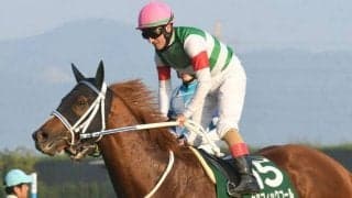 【チャンピオンズC・馬体重】セラフィックコールは528kg(-8)、レモンポップは514kg(-3)