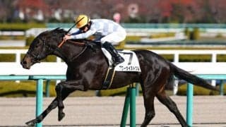【阪神4R】ルメール騎乗、ブラーヴイストワルが鮮やかに逃げ切る