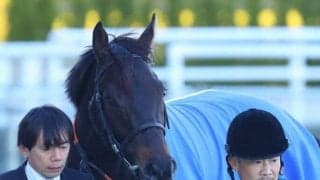 【阪神4R】ルメール「伸び代たくさんある」1番人気ブラーヴイストワルが逃げ切る