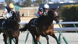 【中日新聞杯】カレンルシェルブル、ピンハイらが登録