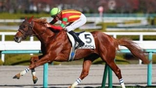 【新馬/阪神5R】エピファネイア産駒 ビザンチンドリームが3馬身差完勝