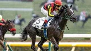 2歳女王決定戦・阪神JFなど3重賞、日曜は2023香港国際競走/今週の競馬界の見どころ