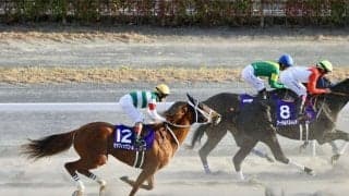 【チャンピオンズC】デムーロ「思ったほど伸びなかった」レース後ジョッキーコメント