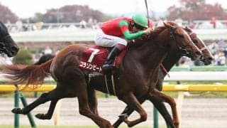 【阪神JF登録馬】コラソンビートなど26頭