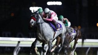 【カペラS見どころ】リュウノユキナのJRA重賞初制覇なるか