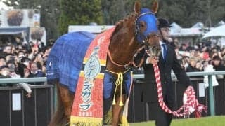 【チャンピオンズC】売上は169億3021万5400円で昨年より約11億円増加