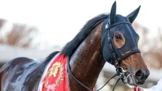 【ステイヤーズS】売上は34億272万9700円で昨年より約7000万円増加