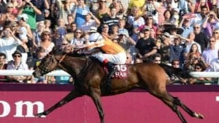 11年凱旋門賞覇者デインドリームが8月末に死亡 孫のルージュエヴァイユがエリザベス女王杯で2着