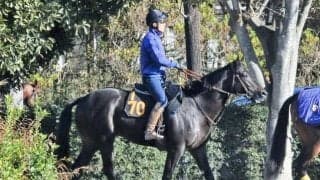 「走りの質がいい」と田中博師も好感触 米国産馬ウェットシーズンがダートで初陣/関東馬メイクデビュー情報