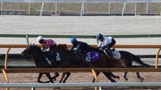 母は18年の米2歳女王 3億円馬ストーンズが初陣/関西馬メイクデビュー情報