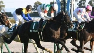 中日新聞杯想定騎手17頭 キラーアビリティはB.ムルザバエフ騎手、ホウオウビスケッツは丸田恭介騎手