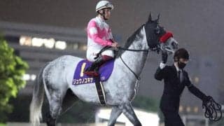 カペラS想定騎手23頭 リュウノユキナは柴田善臣騎手、パウオレは佐々木大輔騎手