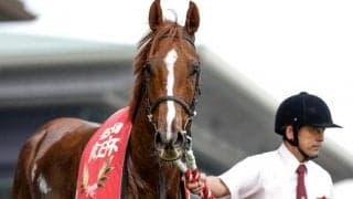 阪神JF想定騎手26頭 ボンドガールはT.マーカンド騎手、コラソンビートは横山武史騎手