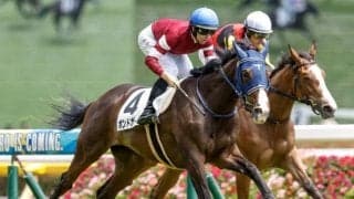 【AI予想・阪神JF】2歳女王決定戦の決め手は前走の格や成績にあり!? 本命候補は重賞で好パフォーマンス見せる実力派