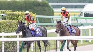【先週のJRA抹消馬】GI馬のソングラインとシュネルマイスター、重賞2勝馬アートハウスなど