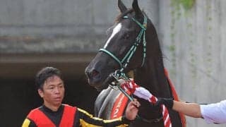 ベテラン北村宏司騎手がキタサンブラック以来のGI制覇へ 無傷の重賞ウイナーと阪神JF参戦