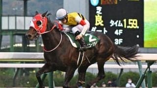 【中日新聞杯展望】前走で凡走した馬が巻き返して高配当を演出