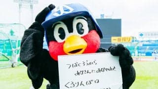 【つば九郎の人生相談 番外編】つば九郎がお悩みを相談「くるりんぱは どうしたらいいですか？」