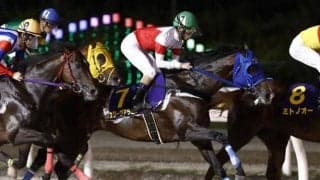 【大井・勝島王冠枠順】スワーヴアラミスは5枠10番、ランリョウオーは8枠16番