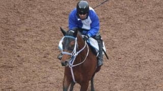 キングズソードなど、先週の入厩情報/栗東トレセンニュース