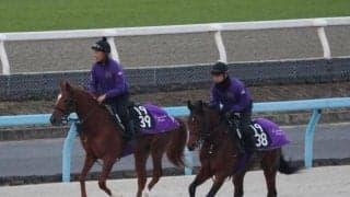 マンデラの2021(フリーダムレイン)など、先週のゲート試験/栗東トレセンニュース