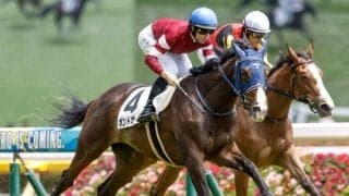 【阪神JF予想オッズ】ボンドガールが予想1番人気