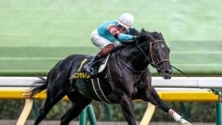 【中日新聞杯予想オッズ】ヤマニンサルバムが予想1番人気