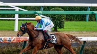 【カペラS予想オッズ】パウオレが予想1番人気