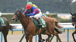 ファンタジーS覇者が無敗戴冠へ 阪神JF制覇のカギは距離延長にあり