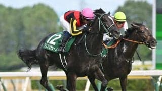 【阪神JF展望】距離実績があり、ゆとりのあるローテーションが理想