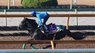 ジャスティンパレス、有馬記念2週前追い切り速報/栗東トレセンニュース