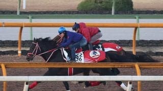 フォーエバーヤング、全日本2歳優駿追い切り速報/栗東トレセンニュース