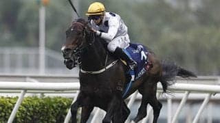 獲得総額約25.7億で世界1位の賞金王が香港マイル参戦 各国の賞金王と比べてみた