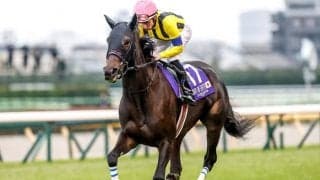【有馬記念想定】スターズオンアースやスルーセブンシーズ、タイトルホルダーなど17頭