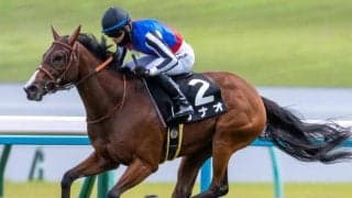 今年開業の小栗実厩舎が阪神JF2頭出し 前走逃げ切りVの勢いでGI制覇へ