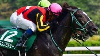 阪神マイルはダイワメジャー産駒の“十八番”  阪神JFで本領発揮となるか