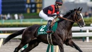 【ホープフルS想定】ゴンバデカーブース、シンエンペラーなど16頭