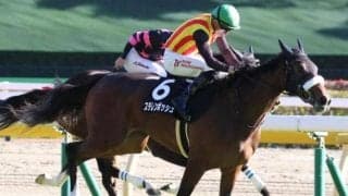 アーモンドアイも応援!? 阪神JFに国枝栄厩舎×ルメール騎手の最強タッグ参戦