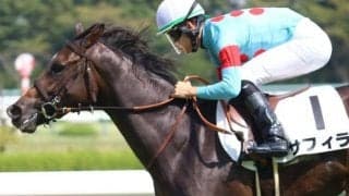 サリオスの全妹にかかる史上初の快挙とは 阪神JF勝利で達成なるか