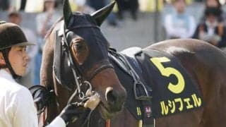 大一番が初のマイル戦 ハーツクライの最終世代馬が阪神JFで狙う快挙とは