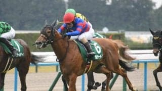 【阪神JF予想】AIは前哨戦快勝の実績馬を推奨 ポイントは戦績の安定感