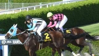 【カペラS展望】距離短縮で間隔の詰まったローテーションの馬が好走傾向