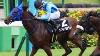 31年ぶりの偉業なるか 阪神JFに小さな根性娘がエントリー