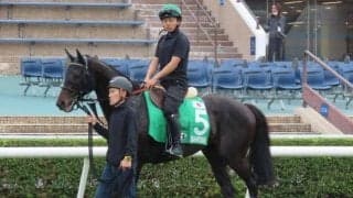 香港ヴァーズ出走予定のシャフリヤール取消 メディカルチェックで異常を確認