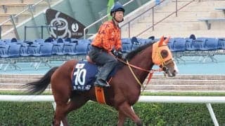 【香港マイル 枠順確定】ナミュール＆W.ビュイック騎手は12番ゲート、セリフォス＆川田騎手は4番ゲート