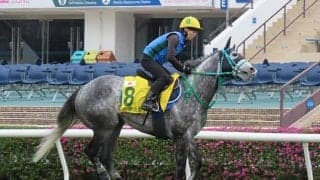 【香港スプリント 枠順確定】マッドクール＆C.デムーロ騎手は7番ゲート、ジャスパークローネ＆川田騎手は8番ゲート
