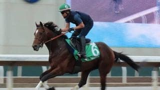 【香港ヴァーズ 枠順確定】ジェラルディーナ＆W.ビュイック騎手は5番ゲート、レーベンスティール＆J.モレイラ騎手は7番ゲート